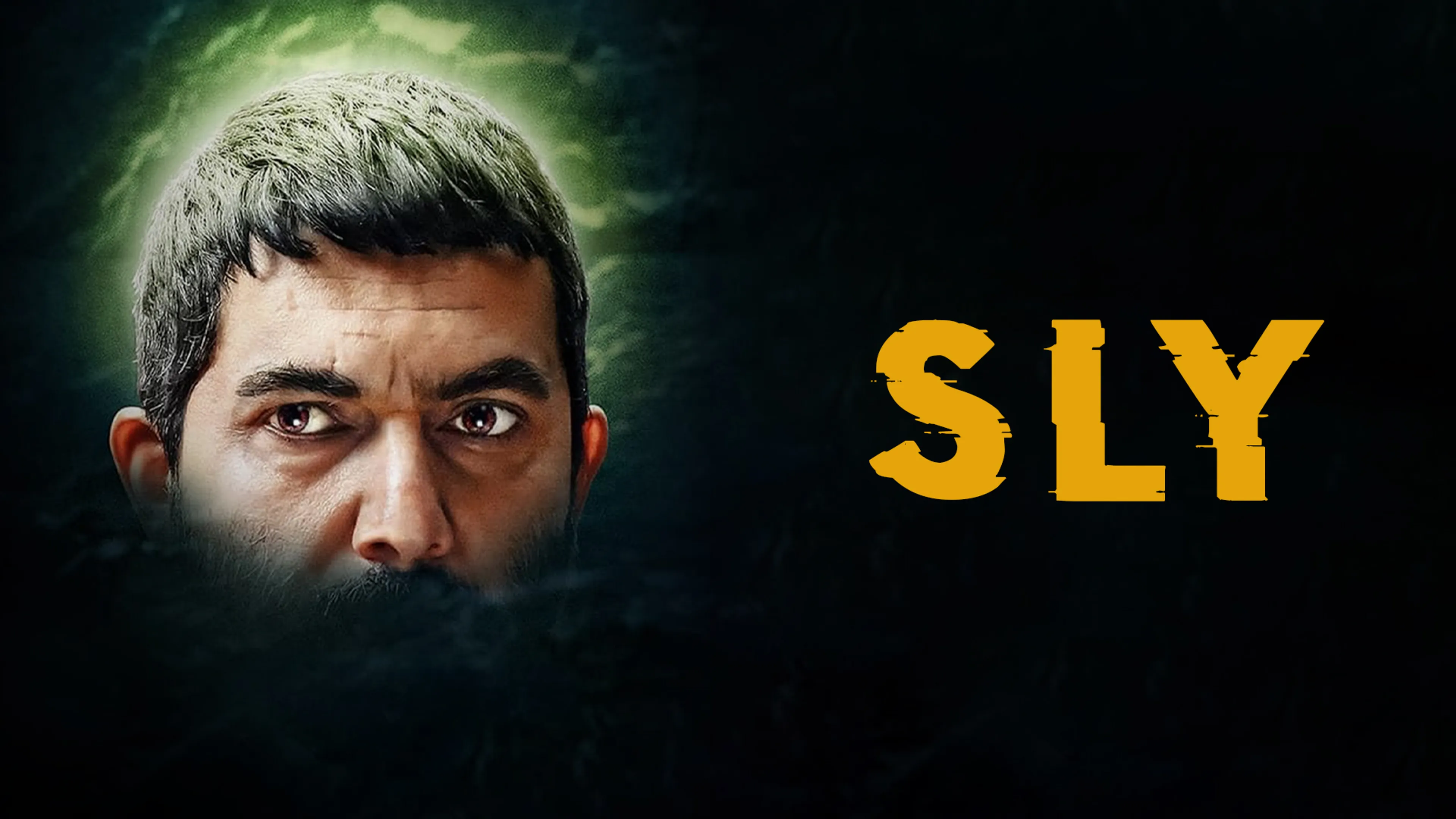 Sly poster